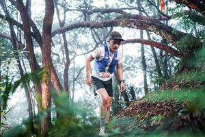 BIB: 
                            <button type="button" onclick="openModal(26295184)" class="btn btn-primary btn-sm float-right btn-popup" data-toggle="modal" data-target=".modal-high-quality">
                        <i class="fas fa-shopping-cart"></i> Add to Cart
                    </button>
                                            <button type="button" onclick="isThisMe(26295184, true)" class="btn btn-success btn-sm float-right btn-popup btn-isme hidden" data-toggle="tooltip" data-placement="bottom" title="นี่คือรูปของคุณใช่ไหม คลิกที่นี่เพื่อเอาเข้าอัลบั้ม">
                        <i class="fas fa-plus"></i> Add to album
                    </button>
                    <button type="button" onclick="isThisMe(26295184, false)" class="btn btn-warning btn-sm float-right btn-popup btn-isnotme hidden">
                        <i class="fas fa-ban"></i> Remove from album
                    </button>